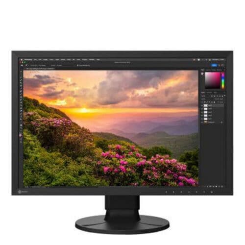 Eizo 24"