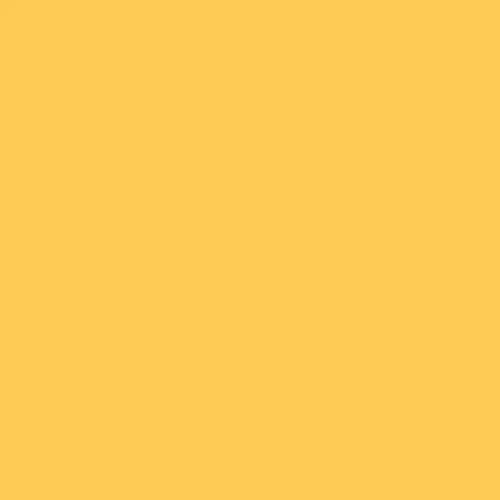 Meter: Rosco #102 - Light Amber