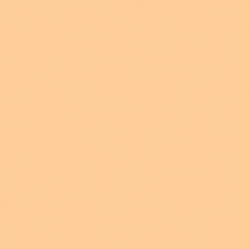 Roll: Rosco #442 - CTS 1/2