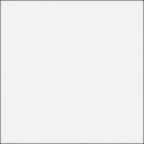 Roll: Rosco #250 - White Diffusion 1/2