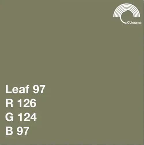 Colorama #197 Leaf 2.72x11m